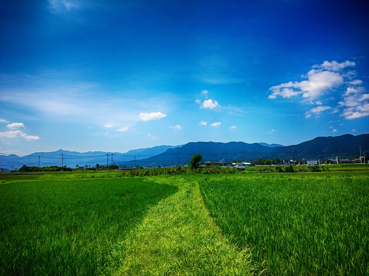 田舎社会